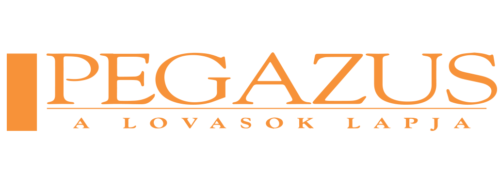 pegazus logo